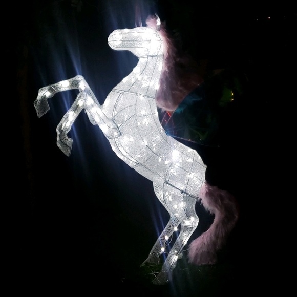 Meet your Posher, Julie - Picture 1 of 1